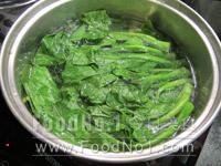 garlic-cabbage-seedlings03