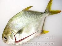 pomfret