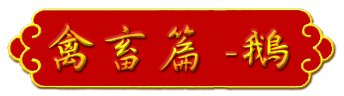 aw-title-g06.gif (11344 bytes)