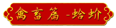 aw-title-g11.gif (12709 bytes)