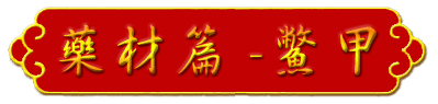 aw-title-h09.gif (11792 bytes)