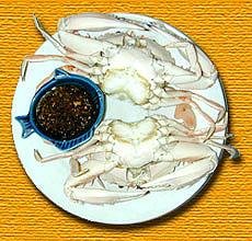 food-tt-20000126a01.jpg (22934 bytes)