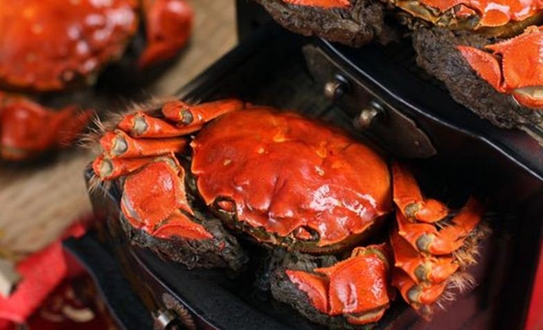 HairyCrab01