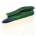 food-angled-luffa.jpg (4676 bytes)