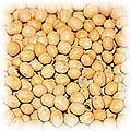 food-nuts-fox.jpg (9525 bytes)
