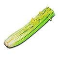 food-celery.jpg (10520 bytes)