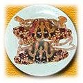 food-crab2.jpg (17125 bytes)