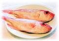 food-fish-big-eye.jpg (10482 bytes)