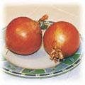 food-onion.jpg (12525 bytes)