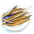 food-seadragon.jpg (7178 bytes)