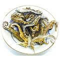 food-seahorse.jpg (7760 bytes)