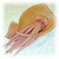 food-squid.jpg (4880 bytes)
