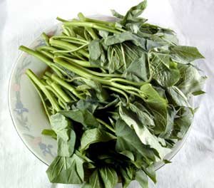 sweet-potato-root.jpg (15924 bytes)