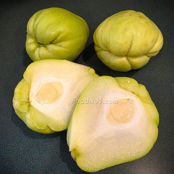 合掌瓜
