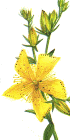 ex19991214da01.gif (5933 bytes)