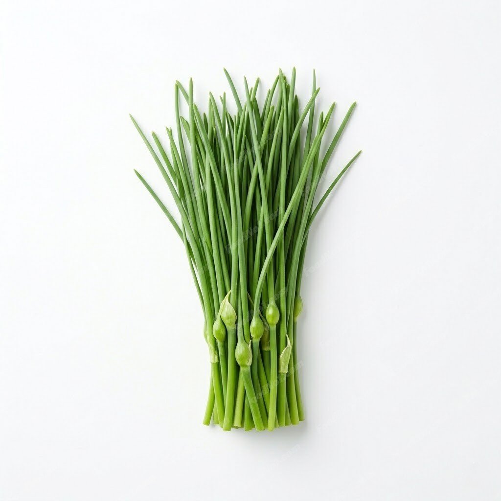 蒜苗 garlic-sprout