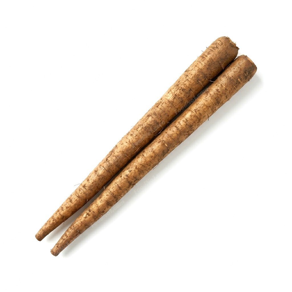 牛蒡 burdock