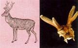 aw-c02.jpg (13546 bytes)