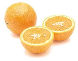 food-tt-fruit-20000107a01.jpg (16607 bytes)