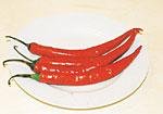 food-tt-20000106a05.jpg (5708 bytes)