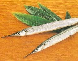 顎針魚清蒸風味佳 Foodno1 Com