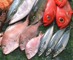 food-tt-knowledge-20000217i01.jpg (21549 bytes)
