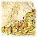 food-almond-nut.jpg (7664 bytes)