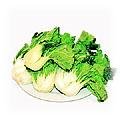 food-bakchoy-med.jpg (14682 bytes)