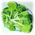 food-bakchoy-sm.jpg (8168 bytes)