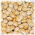 food-bean-lentil.jpg (9519 bytes)