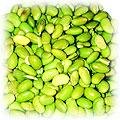 food-bean-soy.jpg (10219 bytes)