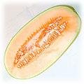 food-cantaloup.jpg (5901 bytes)