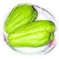food-chayote.jpg (13991 bytes)