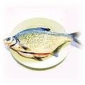 food-fish-bin.jpg (11748 bytes)