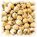 food-lotus-seed.jpg (22230 bytes)