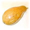 food-pumpkin.jpg (4295 bytes)