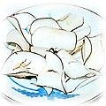 food-sea-coconut.jpg (17192 bytes)