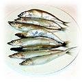 food-snappers.jpg (15584 bytes)