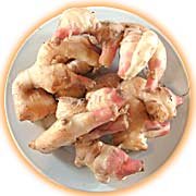 ginger.jpg (7083 bytes)