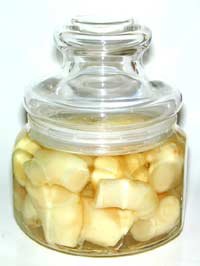 gingerinbottle.jpg (6879 bytes)