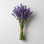 薰衣草 Lavender
