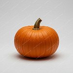南瓜 Pumpkin