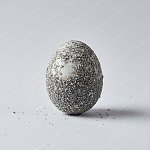 鹹蛋 Salted egg