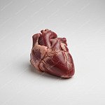 豬心 Pig heart