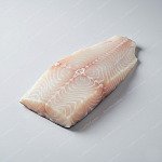 鱈魚 cod