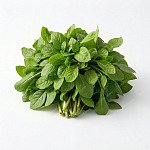 茼蒿 crown-daisy