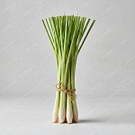 香茅 Lemongrass