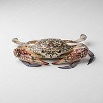 花蟹 flower crab