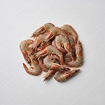 蝦 shrimp