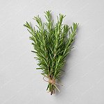 迷迭香 Rosemary